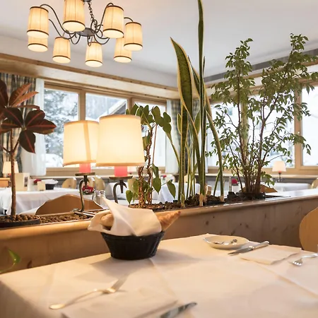 Bernina Hotel 3*