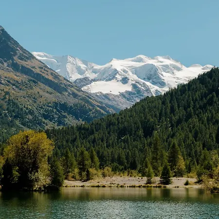 Bernina 3*