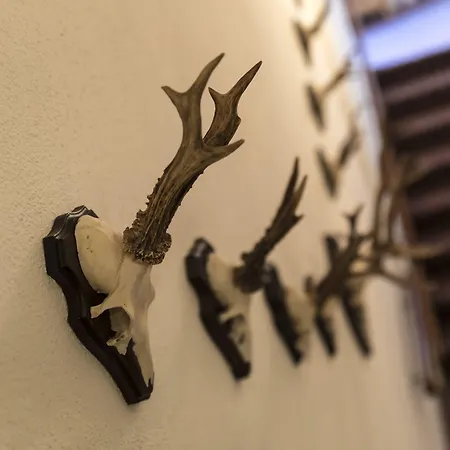 Szálloda Bernina 3*